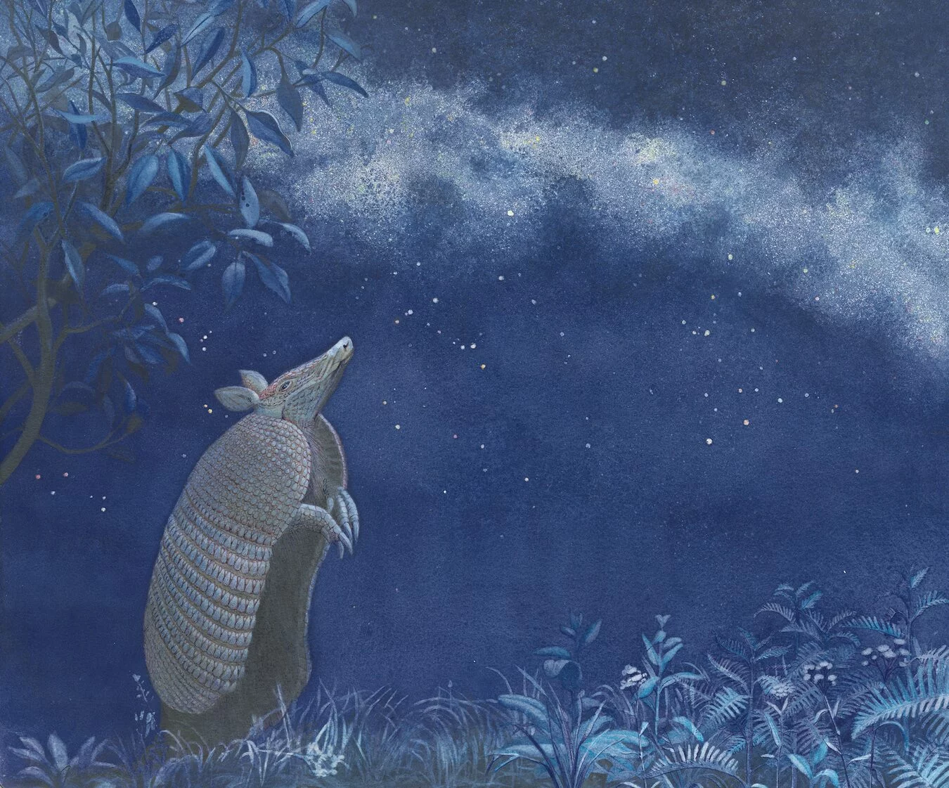 Natura di Notte - Animali e piante amanti del buio nei dipinti degli artisti Aipan