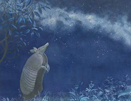 Natura di Notte - Animali e piante amanti del buio nei dipinti degli artisti Aipan